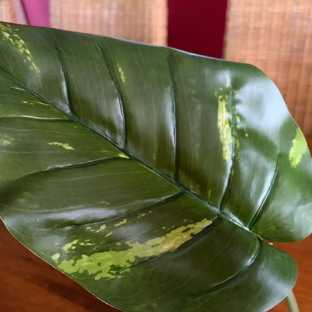 New Exo-Terra Smart Plant Scindapsus Ideal for Terrariums